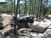 power-crawl-7